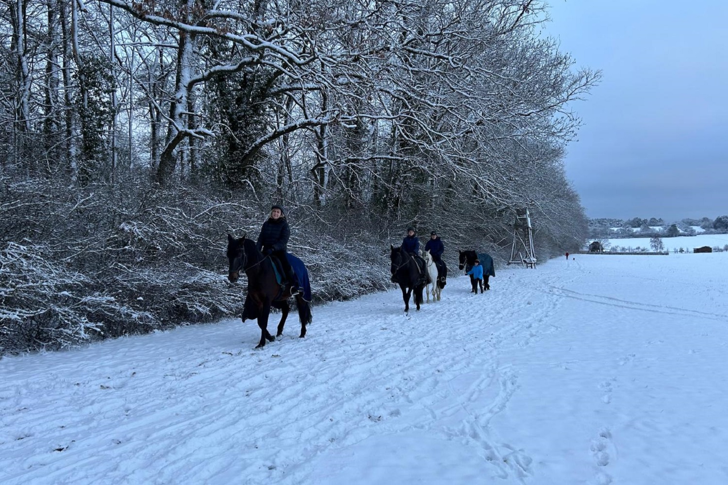 Schritt_Ausritt_1500_1000