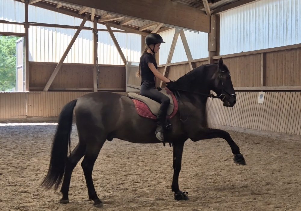 Spanischer_Schritt_1000x800