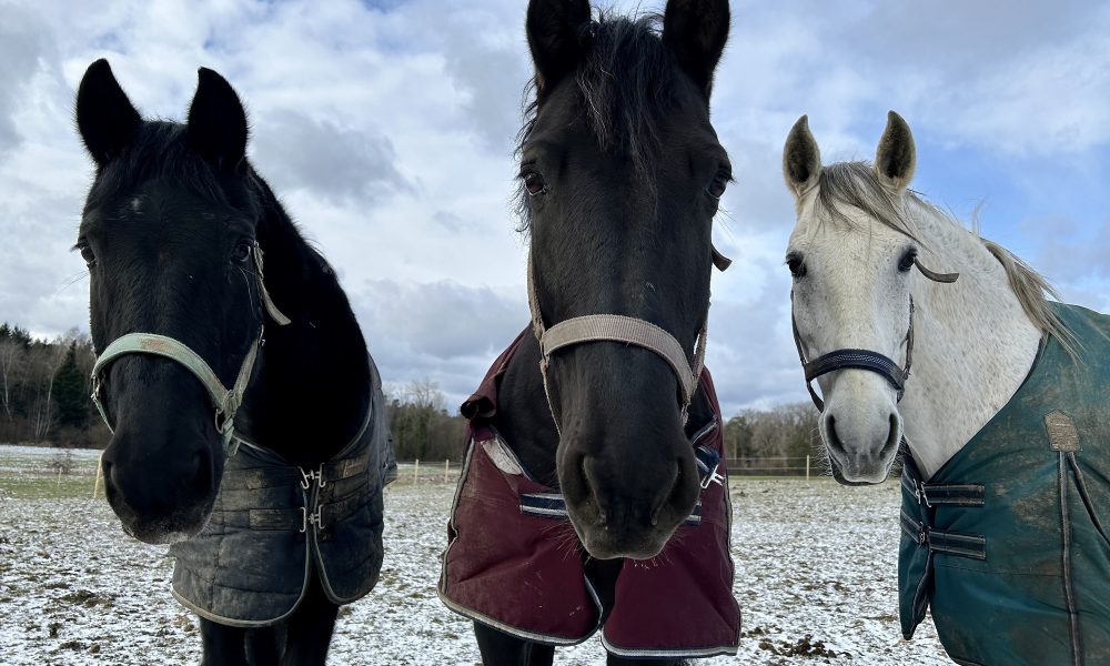 Trio_im_Schnee_2000x1521